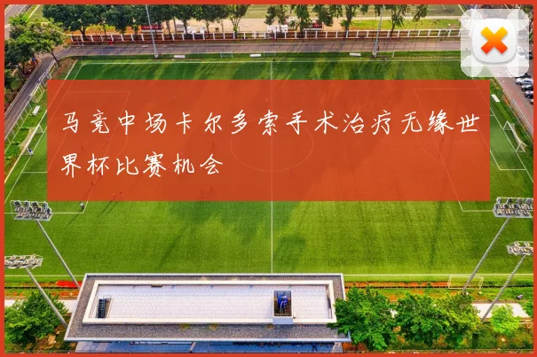 马竞中场卡尔多索手术治疗无缘世界杯比赛机会